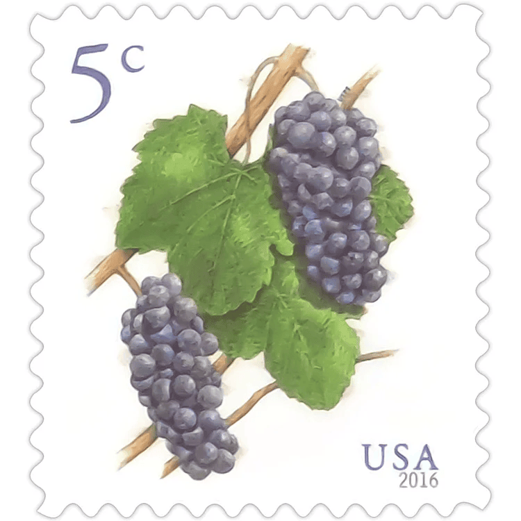 Grapes - Addition Postage 5¢