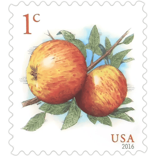 Apples - Addition Postage 1¢