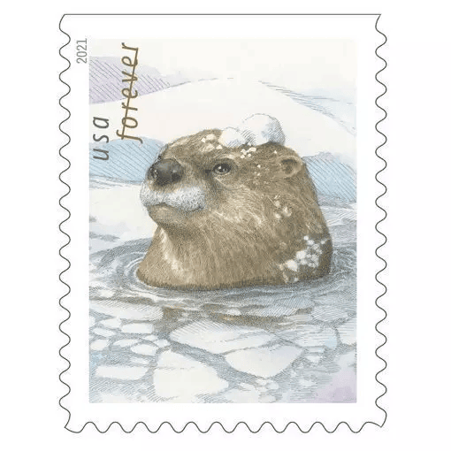 Otters in Snow Forever stamps 2021