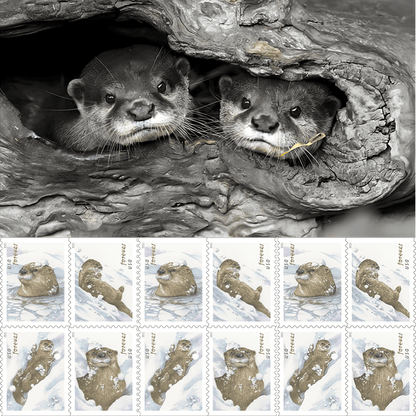 Otters in Snow Forever stamps 2021