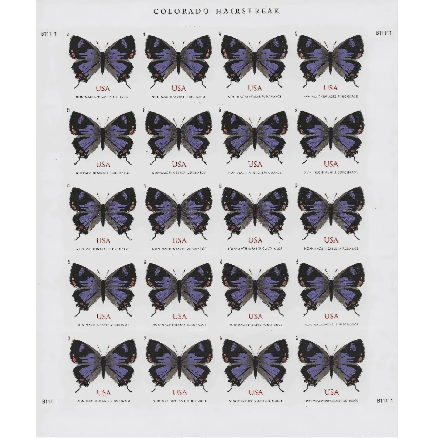 Colorado Hairstreak 2021