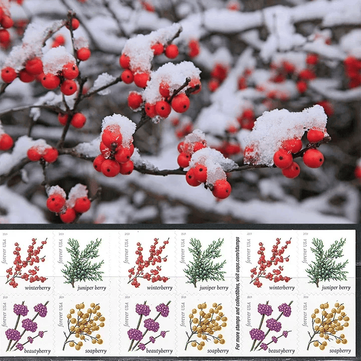 Winter Berries Forever Stamps 2019