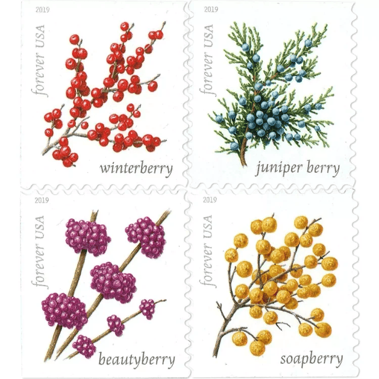 Winter Berries Forever Stamps 2019