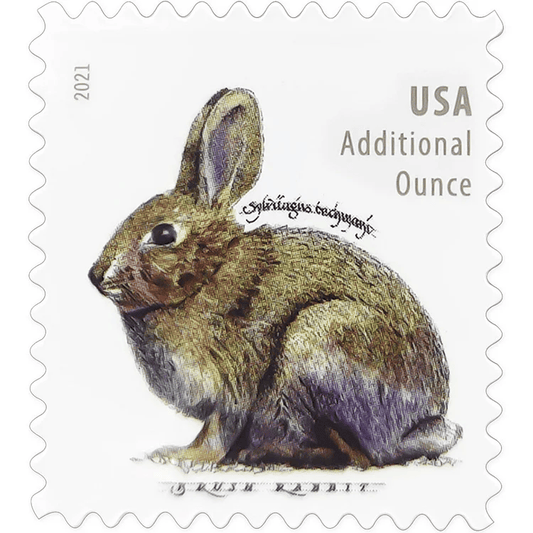 Rabbits United States Stamps